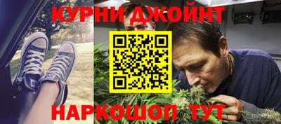 сатива Будённовск