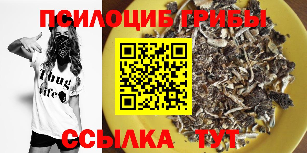 Полевской  Галлюциногенные грибы мицелий  Псилоцибиновые грибы MAGIC MUSHROOMS  Вход с VPN 