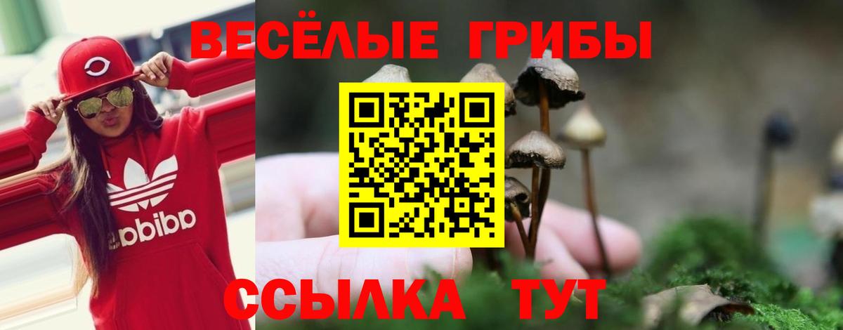 Галлюциногенные грибы Magic Shrooms Полевской